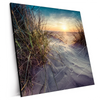Xxl Wandbild Strandlandschaft Mit Gras Quadrat Produktvorschau Seitlich