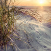 Xxl Wandbild Strandlandschaft Mit Gras Quadrat Zoom