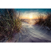 Xxl Wandbild Strandlandschaft Mit Gras Querformat Motivvorschau