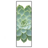 Xxl Wandbild Sukkulente No 2 Schmal Produktvorschau Frontal
