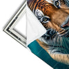 Xxl Wandbild Tauchender Tiger Quadrat Materialvorschau