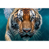 Xxl Wandbild Tauchender Tiger Querformat Motivvorschau