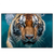 Xxl Wandbild Tauchender Tiger Querformat Produktvorschau Frontal