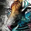 Xxl Wandbild Tiger Im Farbrausch Hochformat Zoom