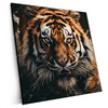 Xxl Wandbild Tiger Im Wasser Quadrat Produktvorschau Seitlich