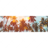 Xxl Wandbild Tropische Palmen Panorama Motivvorschau
