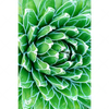 Xxl Wandbild Tropische Pflanze Hochformat Motivvorschau