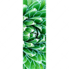 Xxl Wandbild Tropische Pflanze Schmal Motivvorschau