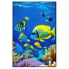 Xxl Wandbild Tropische Unterwasserwelt Hochformat Produktvorschau Frontal
