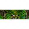 Xxl Wandbild Tropischer Dschungel Panorama Motivvorschau