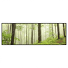 Xxl Wandbild Unberuehrte Natur Der Wald Panorama Produktvorschau Frontal