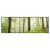 Xxl Wandbild Unberuehrte Natur Der Wald Panorama Produktvorschau Frontal