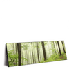 Xxl Wandbild Unberuehrte Natur Der Wald Panorama Produktvorschau Seitlich