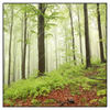 Xxl Wandbild Unberuehrte Natur Der Wald Quadrat Produktvorschau Frontal