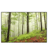 Xxl Wandbild Unberuehrte Natur Der Wald Querformat Produktvorschau Frontal