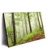Xxl Wandbild Unberuehrte Natur Der Wald Querformat Produktvorschau Seitlich
