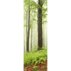 Xxl Wandbild Unberuehrte Natur Der Wald Schmal Motivvorschau
