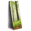 Xxl Wandbild Unberuehrte Natur Der Wald Schmal Produktvorschau Seitlich