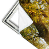 Xxl Wandbild Unberuehrte Natur Hochformat Materialvorschau