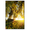 Xxl Wandbild Unberuehrte Natur Hochformat Produktvorschau Frontal