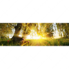 Xxl Wandbild Unberuehrte Natur Panorama Motivvorschau
