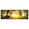 Xxl Wandbild Unberuehrte Natur Panorama Produktvorschau Frontal