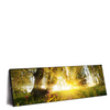 Xxl Wandbild Unberuehrte Natur Panorama Produktvorschau Seitlich