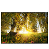 Xxl Wandbild Unberuehrte Natur Querformat Produktvorschau Frontal