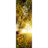 Xxl Wandbild Unberuehrte Natur Schmal Motivvorschau