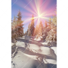 Xxl Wandbild Verschneiter Wald Hochformat Motivvorschau