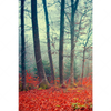 Xxl Wandbild Vertraeumter Wald Hochformat Motivvorschau