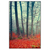 Xxl Wandbild Vertraeumter Wald Hochformat Produktvorschau Frontal