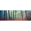 Xxl Wandbild Vertraeumter Wald Panorama Motivvorschau