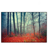 Xxl Wandbild Vertraeumter Wald Querformat Produktvorschau Frontal
