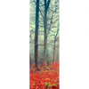 Xxl Wandbild Vertraeumter Wald Schmal Motivvorschau