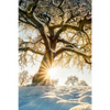 Xxl Wandbild Verzauberte Winterlandschaft Hochformat Motivvorschau