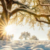Xxl Wandbild Verzauberte Winterlandschaft Hochformat Zoom