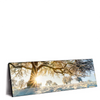 Xxl Wandbild Verzauberte Winterlandschaft Panorama Produktvorschau Seitlich