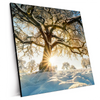 Xxl Wandbild Verzauberte Winterlandschaft Quadrat Produktvorschau Seitlich