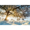 Xxl Wandbild Verzauberte Winterlandschaft Querformat Motivvorschau