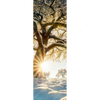 Xxl Wandbild Verzauberte Winterlandschaft Schmal Motivvorschau