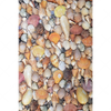 Xxl Wandbild Viele Muscheln Hochformat Motivvorschau