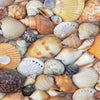 Xxl Wandbild Viele Muscheln Quadrat Zoom