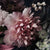 Xxl Wandbild Vintage Blumen Querformat Zoom
