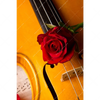 Xxl Wandbild Violine Rose Hochformat Motivvorschau
