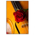 Xxl Wandbild Violine Rose Hochformat Produktvorschau Frontal