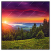 Xxl Wandbild Wald Bei Sonnenuntergang Quadrat Produktvorschau Frontal