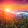 Xxl Wandbild Wald Bei Sonnenuntergang Querformat Zoom