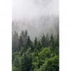 Xxl Wandbild Wald Im Nebel Hochformat Motivvorschau