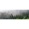 Xxl Wandbild Wald Im Nebel Panorama Motivvorschau
